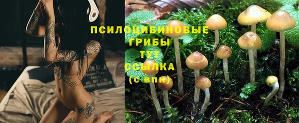 кокаин премиум Новодвинск