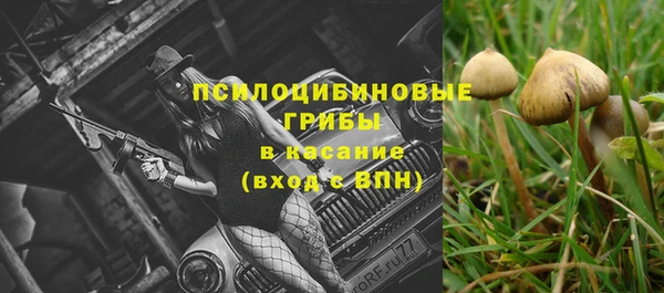 соль ск Нефтегорск
