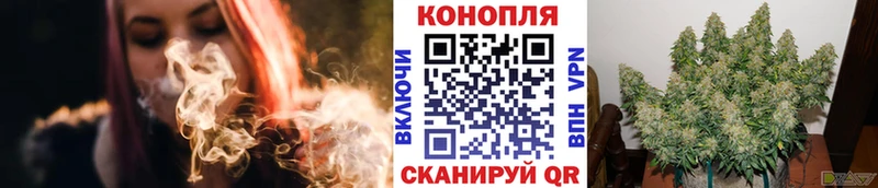 Шишки марихуана марихуана  Купить закладки  Ковылкино 